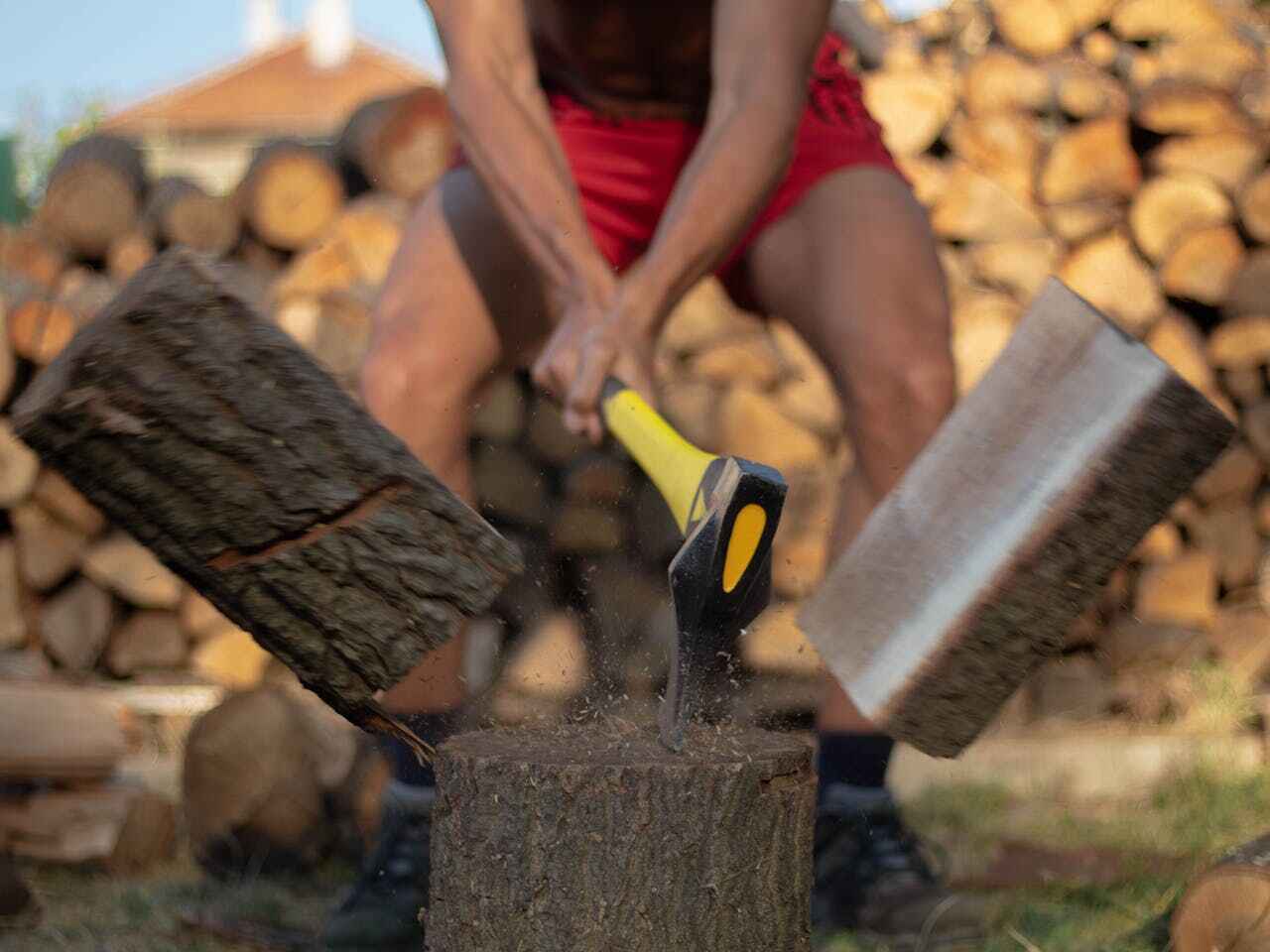 The Steps Involved in Our Tree Care Process in Keokea, HI